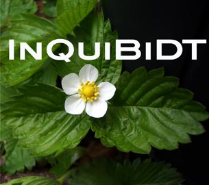 Datei:Inquibidt-Logo.png
