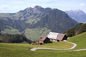 Bauernhof Klexikon Das Freie Kinderlexikon