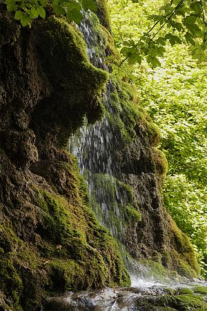 300px-Karst_Moos-Kalktuff-Sediment_Gueterstein_Schwaebische-Alb.jpg