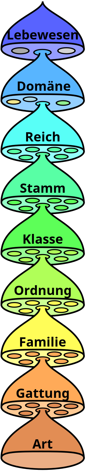 Tierarten - 300px Biological Classification De.svg