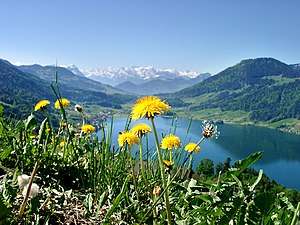 Berge im kanton zug