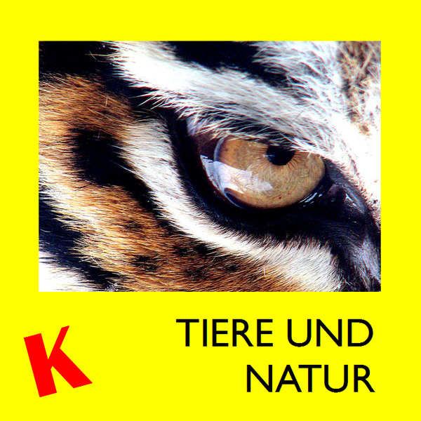 Datei:Klexikon Tiere und Natur.png
